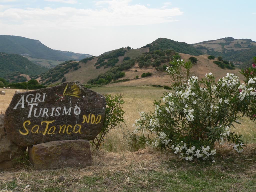 Agriturismo Sa Tanca Noa Tergu Экстерьер фото
