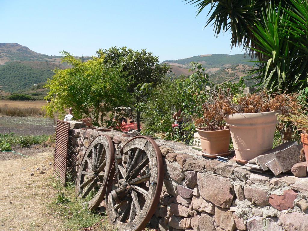 Agriturismo Sa Tanca Noa Tergu Экстерьер фото