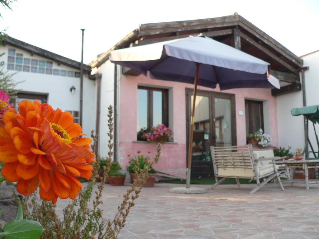 Agriturismo Sa Tanca Noa Tergu Экстерьер фото