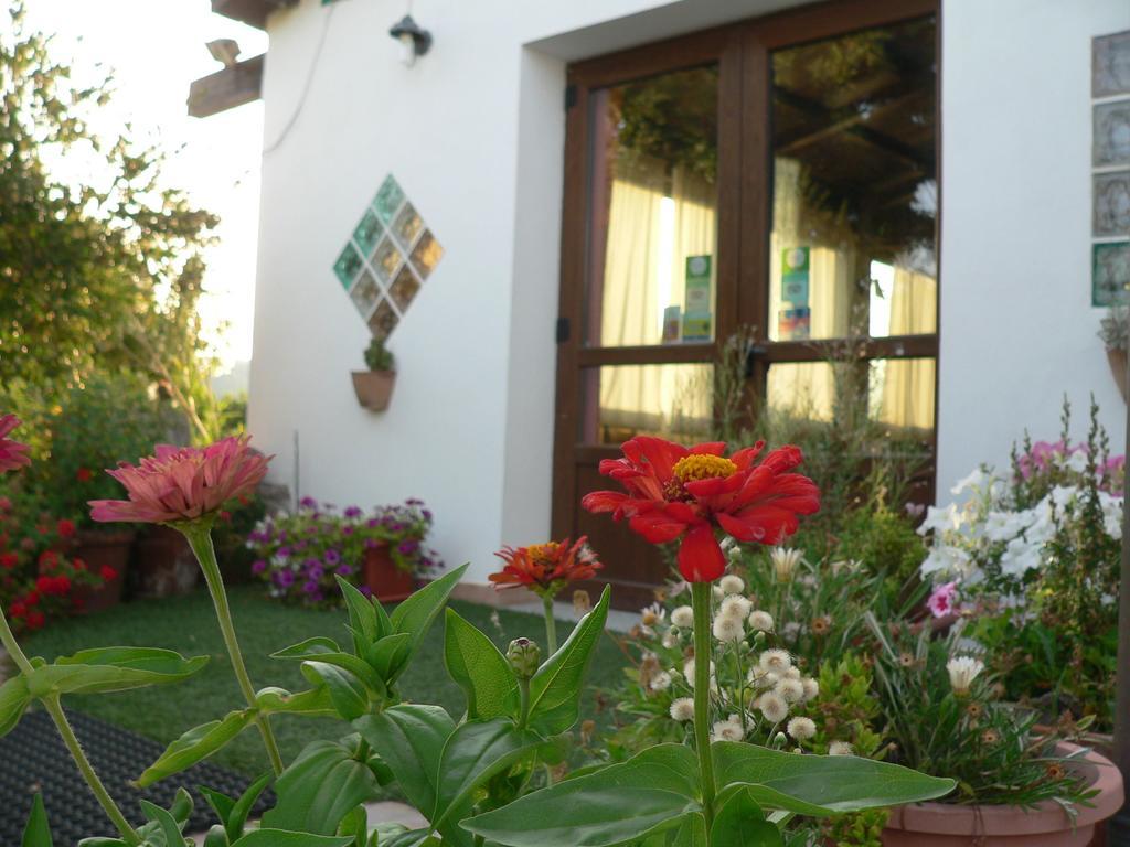 Agriturismo Sa Tanca Noa Tergu Экстерьер фото