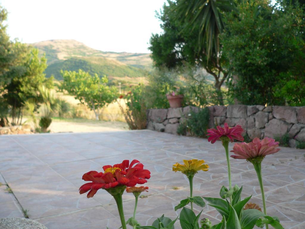 Agriturismo Sa Tanca Noa Tergu Экстерьер фото