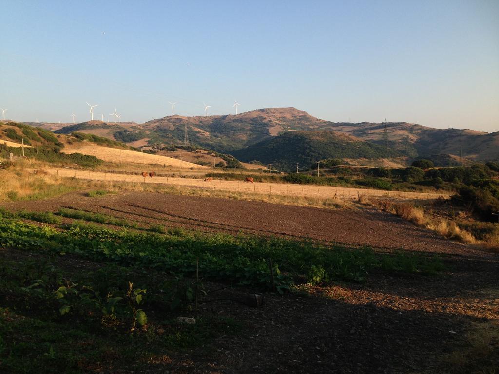 Agriturismo Sa Tanca Noa Tergu Экстерьер фото