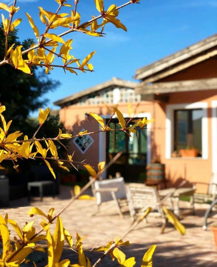 Agriturismo Sa Tanca Noa Tergu Экстерьер фото