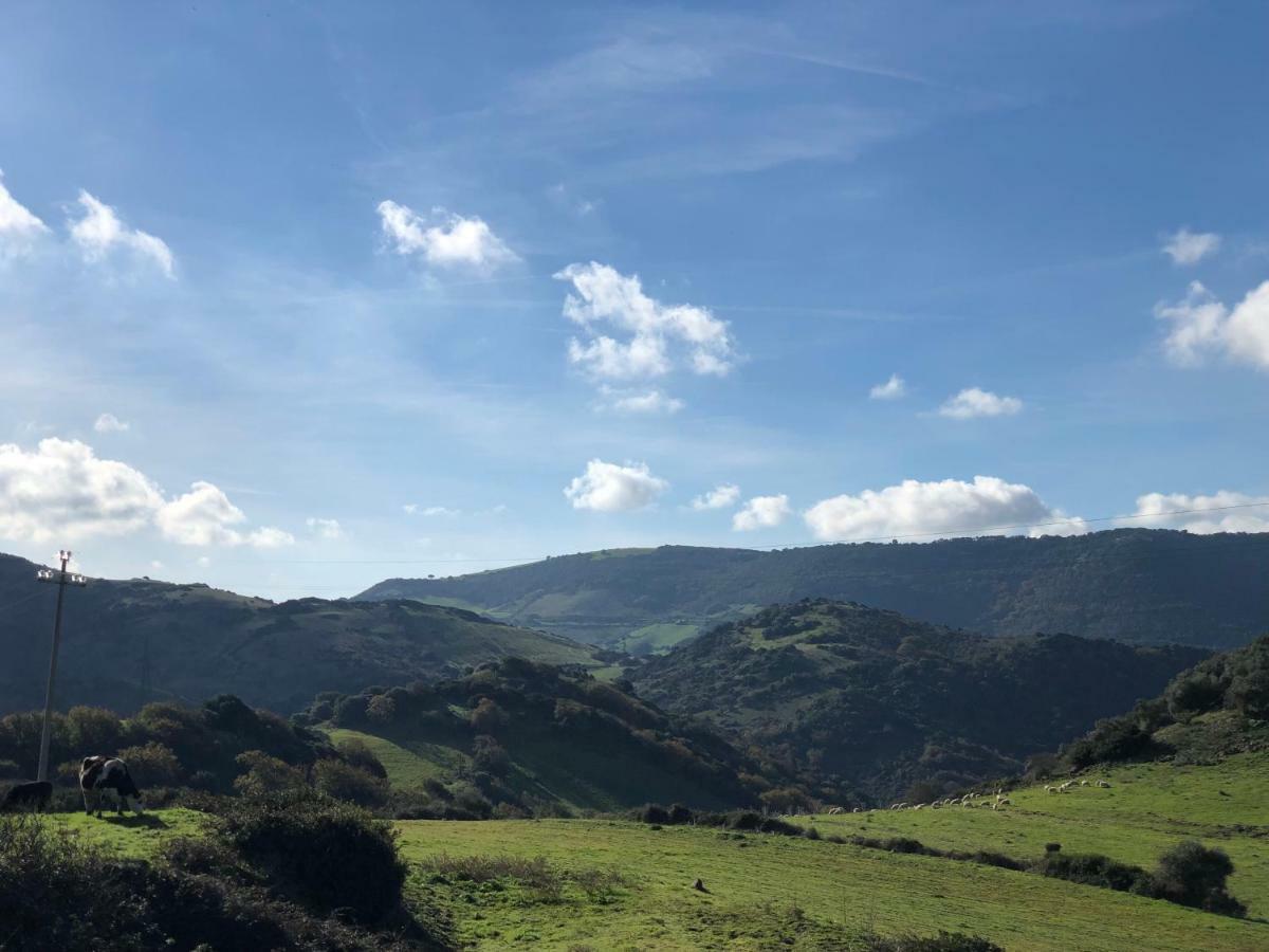 Agriturismo Sa Tanca Noa Tergu Экстерьер фото
