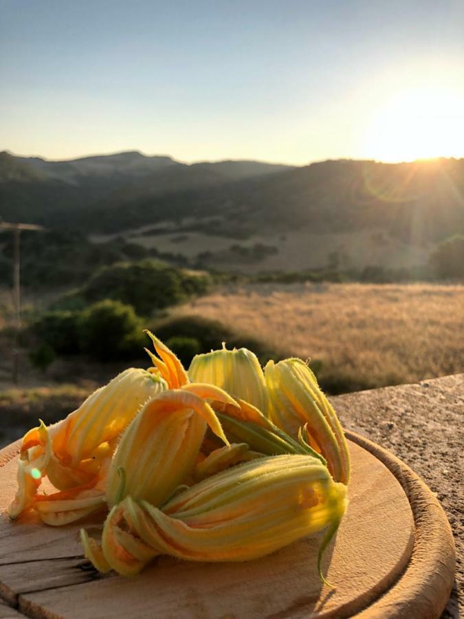 Agriturismo Sa Tanca Noa Tergu Экстерьер фото